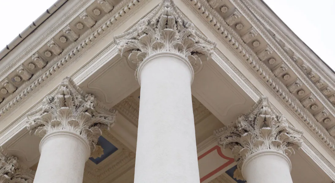 Amicus Representation